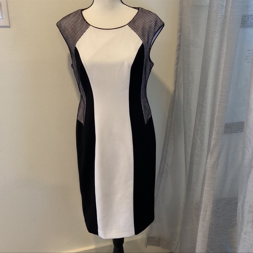 Black/white/mesh color block Calvin Klein dress